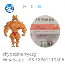 Bodybuilding Human C Gonadotropin Hc G 5000iu